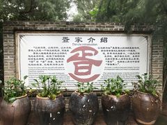 -北海金海湾红树林生态旅游区