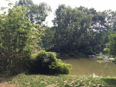 -习家池