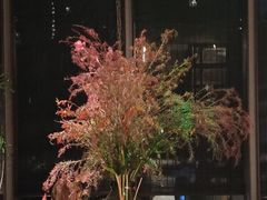 -九月里.自由花园餐厅