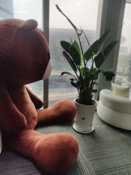 -贞禾医美·连锁