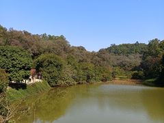 -南国桃园旅游度假区