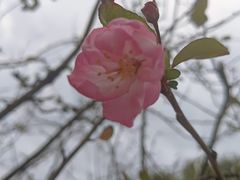 -昆山城市生态森林公园