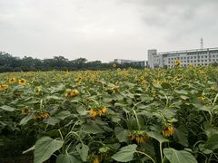 -南京信息职业技术学院