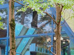 -佛冈森波拉度假区