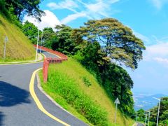 -黄埔油麻山森林公园