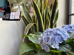 -Fridi Patisserie Cafe