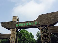 -溱湖国家湿地公园