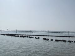 -滆湖低碳生态公园