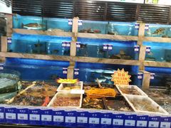 -四季大酒楼(白濠店)