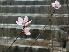 -奥林匹克森林公园南门-停车场
