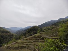 -石台牯牛降景区