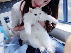 iphone_upload_pic-Anne猫窝咖啡屋