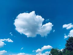 -长白岛森林公园