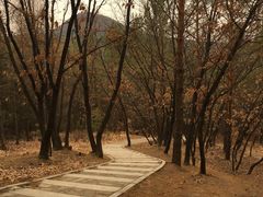 -帽儿山国家森林公园