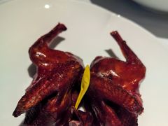 红烧乳鸽-顺峰(农展馆店)