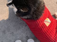 -上海浦南农副产品批发市场