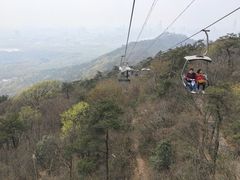 -紫金山天文台