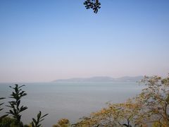 -上海市保健医疗中心(华东疗养院)