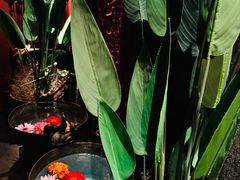 -花马天堂云南餐厅 Lost Heaven(外滩店)