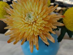 -南堂馆·新川菜(春熙路店)