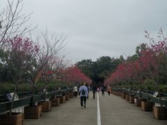 -观澜湖生态运动公社