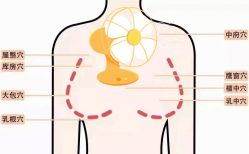 -娇诗尼亚减肥瘦身经络养生