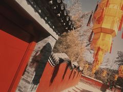 -红螺寺