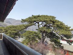 -妙峰山风景名胜区