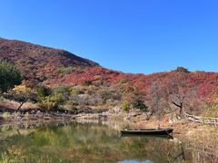 -周口店坡峰岭风景区