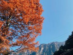 -大明山自然探索公园
