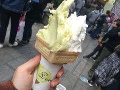 -柠檬车露(卖草地店)