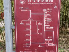 -洛阳白马寺