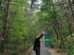 -帽儿山国家森林公园