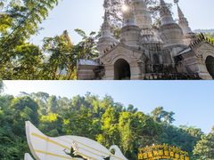 -西双版纳原始森林公园