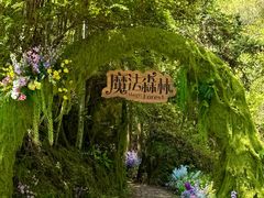 -龙湾潭国家森林公园