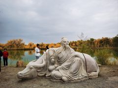 -金塔沙漠胡杨林景区