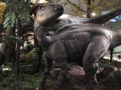 -湖南省地质博物馆