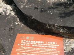 景点-朱雀国家森林公园