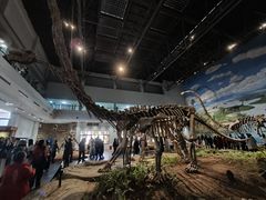 -自贡恐龙博物馆