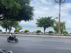 -野菌皇海景野生菌火锅(滨海大道店)