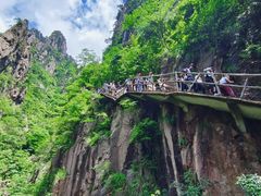 -黄山风景区