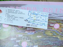 -宁波浙东大竹海景区