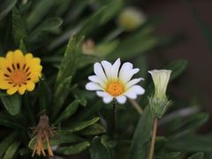 -白塘生态植物园