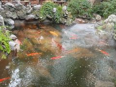 -鲤院·新中式美学·庭院餐厅(夫子庙店)