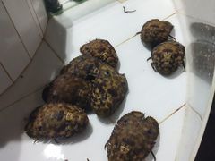 -海盗餐厅