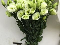 -亭亭鲜花店(中山北路店)