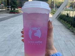 -luckincoffee瑞幸咖啡(恒大广场B1店)