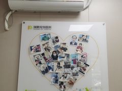 -瑞鹏宠物医院·骨外科·心肾科·肿瘤科(九亭店)