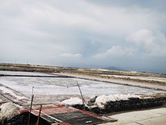-莺歌海盐场