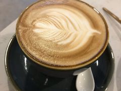 -飞行喵MR PILOT|猫舍·猫咖(静安大融城店)